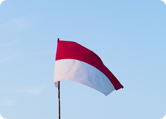 Poland The UK GDPR